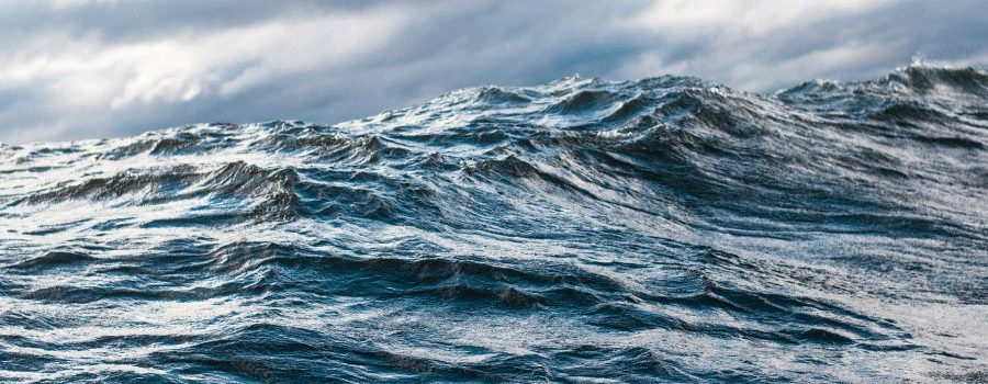 New Index Tracks Ocean Care Champions