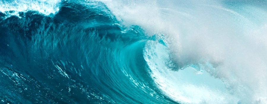 Q&A with SILEX: Ocean Care indices as targeted sustainability strategy for structured products